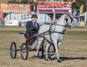 Re-enactor to harness ride centennial event