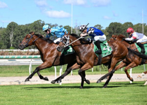 Beaudesert horseman Laurie’s great for people and horses