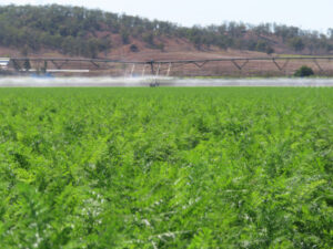 Deadline looms for irrigators to join ‘drought proofing’ water project