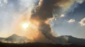 Bushfire assistance granted to Council