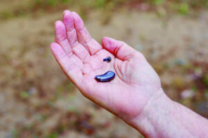 The Beauty of Life – Hear-Hear!