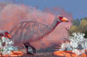 Our giant Thunder Birds fell prey to disease and drought