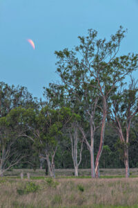 When a Blood Moon isn’t quite what it seems