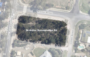 Karalee residents take a stand against overdevelopment