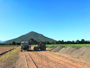 Rock on, basalt base to improve fertility