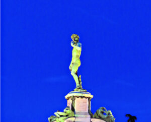 The Beauty of Life – At the Brook Besor