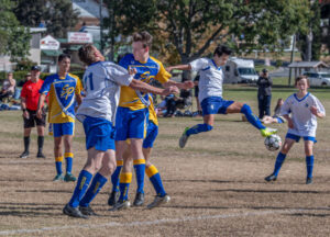 Boonah Brumbies teams brace for shot at glory