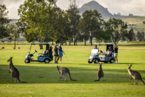Emu and kangaroo on coat of arms and dinner plate