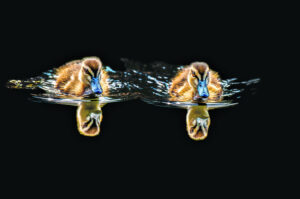 Views from beyond closed borders part 3