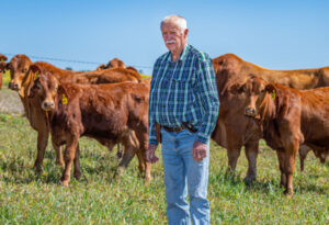 Roadvale graziers love for land produces award winning beef