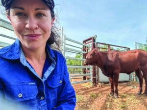 Bridge of knowledge over uncertainty in livestock industry