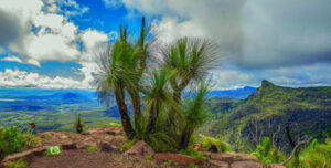 Grant for local tourism group and new visitor guide