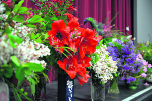 Fine Spring showing for garden friendship meet