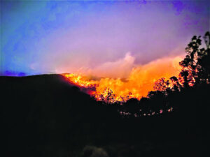 Seven days of ‘fire days’ in the Fassifern