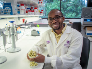 Useful duality of native plum plant