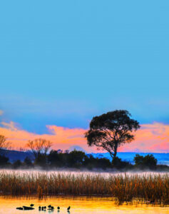 Heat waves, cyclone watches and wildfires