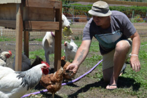 Is there a future in farming (and eating) flies?