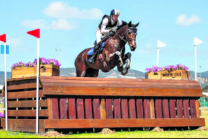 New arena project to “have huge positive impact”