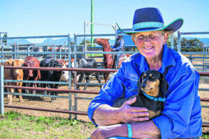 Dolly’s Dream and dachshunds win the Sorting Day crowd