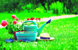 ‘Vigorous gardening’ is good for the heart, study finds