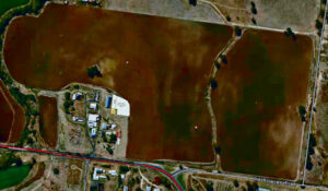 Green light for breeding kennels at Rosevale