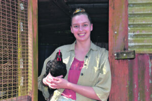 Do backyard chooks threaten Qld’s $588m poultry industry?