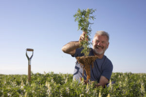 Lupin protein plant based food’s power powder