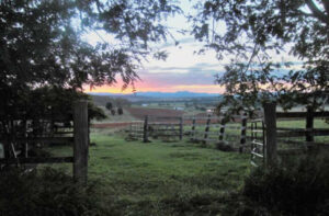 More than 73 hectare rural property in the Scenic Rim for sale