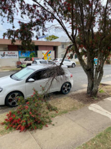 Kalbar Progress Association hopeful to deliver street greenery in time for Christmas