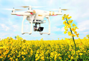 Future trends on the horizon in agriculture