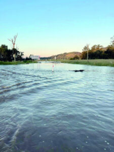 Major flood peaks along the Teviot catch many by surprise on Monday