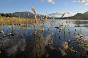 Dams reopen but swimming “an unacceptably high risk to public health”