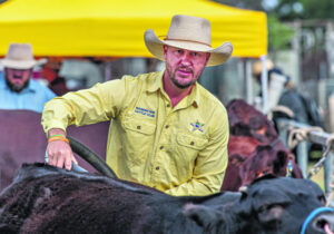 Boonah High applauded in Landline segment