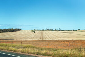 $30M grain grower initiative