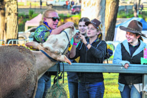 Hands on learning, show-ed and junior committee hope for show future