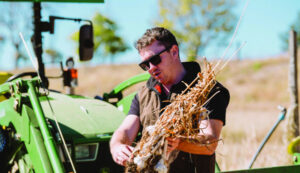 Garlic, turmeric and ginger spell success for hobby farmers