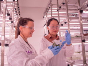 Could cryogenics save threatened native plants?