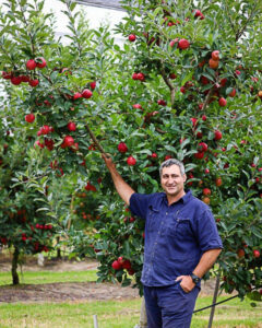 The Cocos put apple into Applethorpe