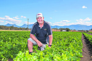 Moffatt family looks back on a century of farming carrots