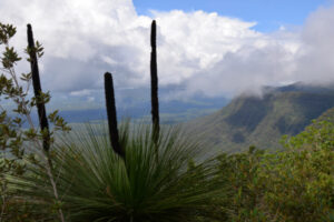 Border Ranges hikes to beat the heat and discover rainforest secrets