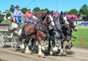 Destination grant win by three Scenic Rim events