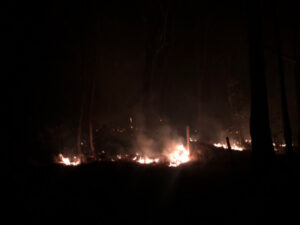 Head Road closed by bushfire