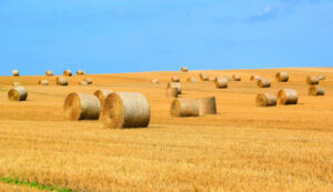 Future farmer’s thrown loan lifeline