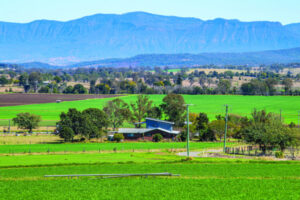 Cattle, commodities and fresh produce, the sunshine state’s record breaking year
