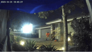 Pumpkin thief ruins Halloween for Beaudesert family