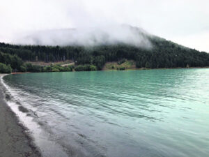 No coffee, no wine: NZ food and wine tour