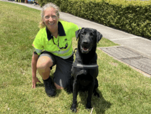 Qubit’s work deserves round of a-paws