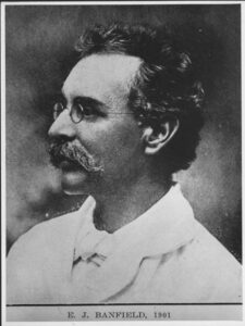 The Beauty of Life – The Beachcomber