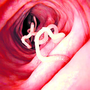 The Beauty of Life – Beside the Food