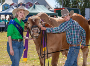 Stud and Prime Beef cattle to fill showground arenas